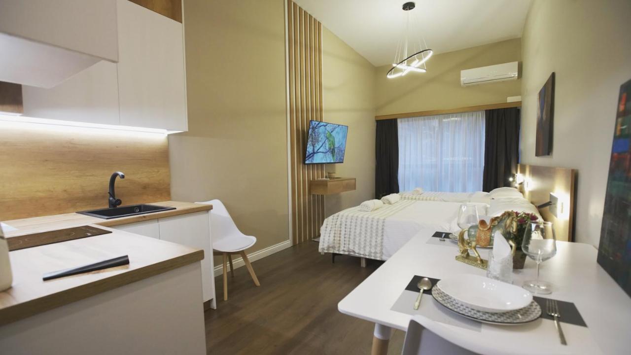 Daily Rent Studio Apartments Тирана Екстериор снимка
